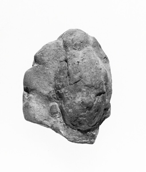 Unknown, Female Head