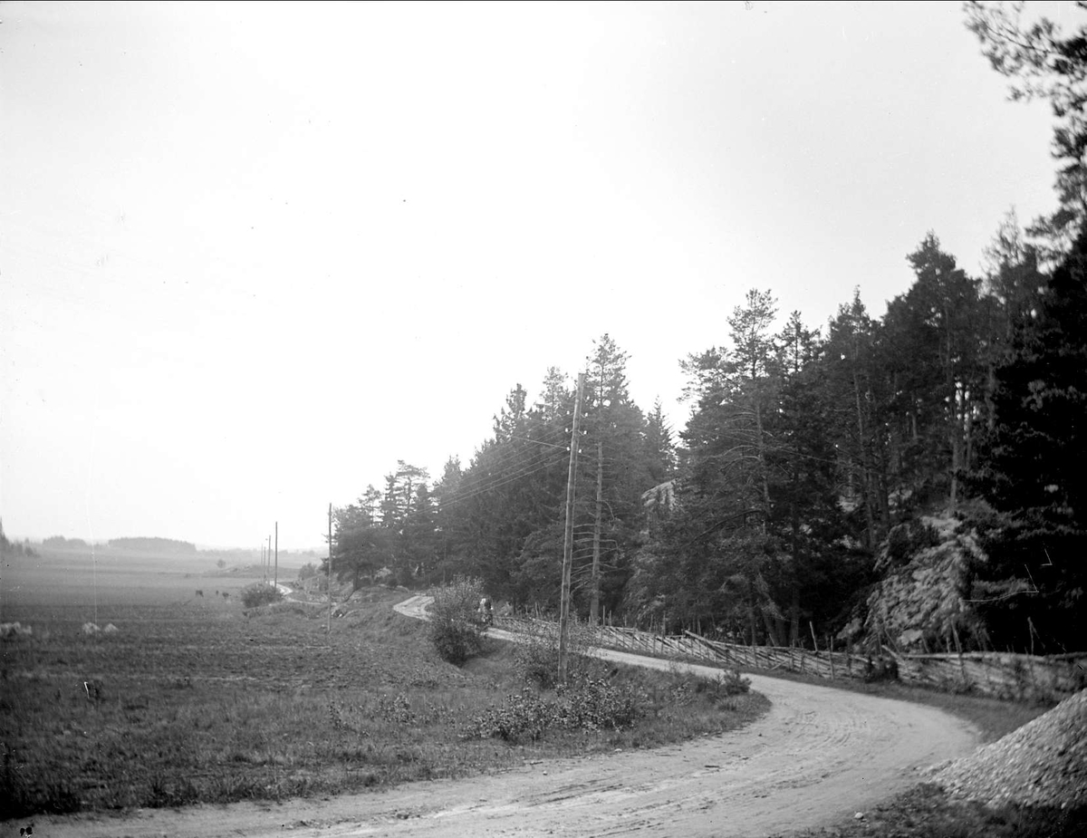 August Fredrik Schagerström, Väg i Låssa socken, Uppland i september 1917