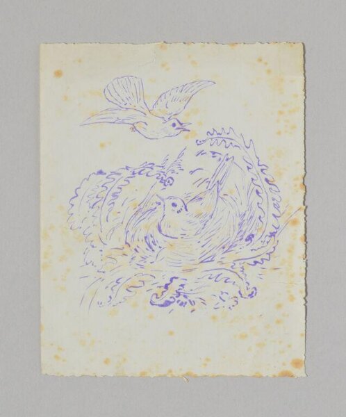 Potter, Beatrix, Print