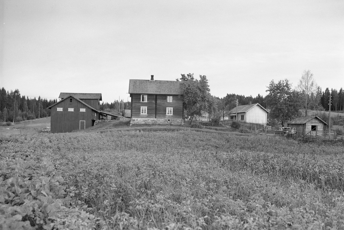 Anno Domkirkeodden, EKSTR: GARDSTUN, DUNDERBAKKEN NEDRE LØTEN. Se Løtenbok nr. 3. side 762