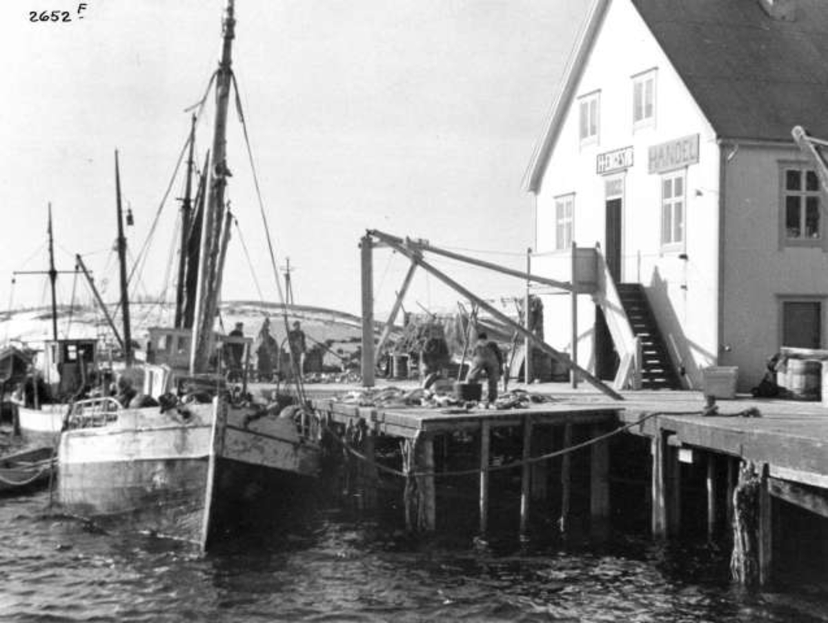 Anders Beer Wilse, -5882