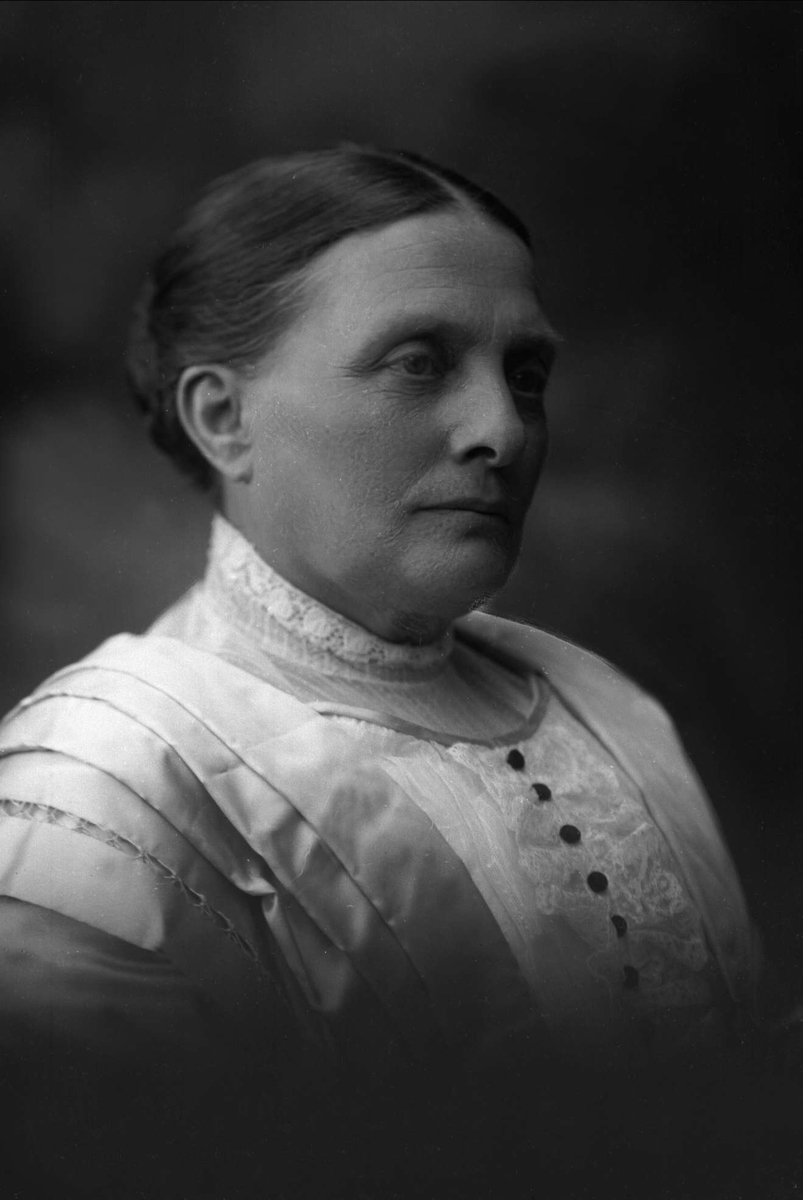 Gustav Borgen, NFB.08812