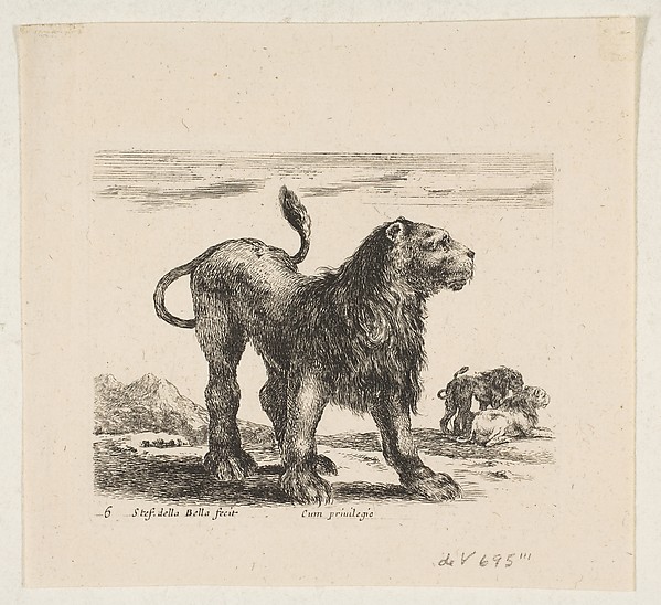 Stefano della Bella, Plate 6: Lion, from "Various animals" (Diversi animali)