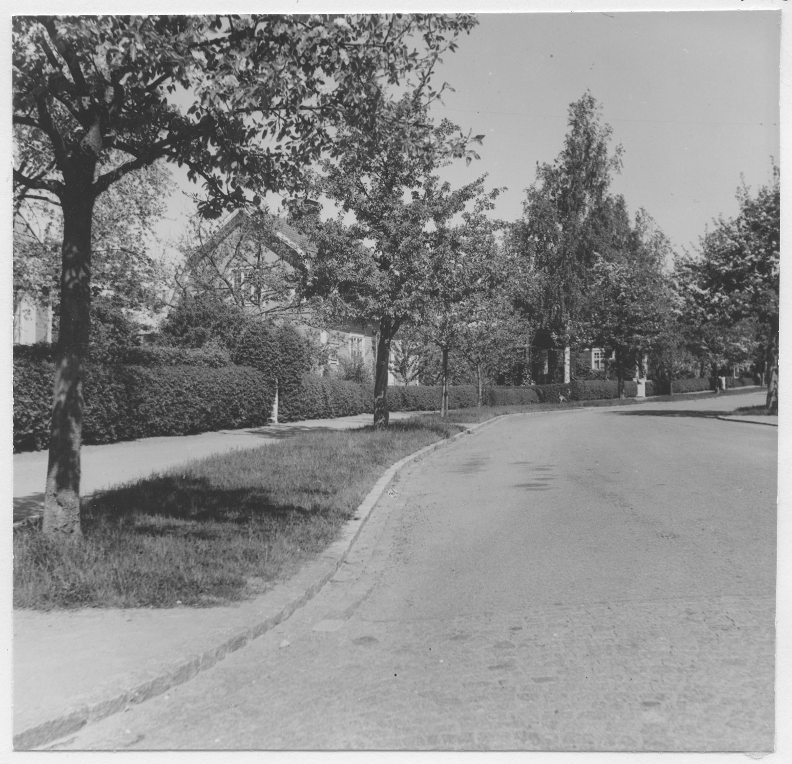 Mårten Sjöbeck, Nyköping