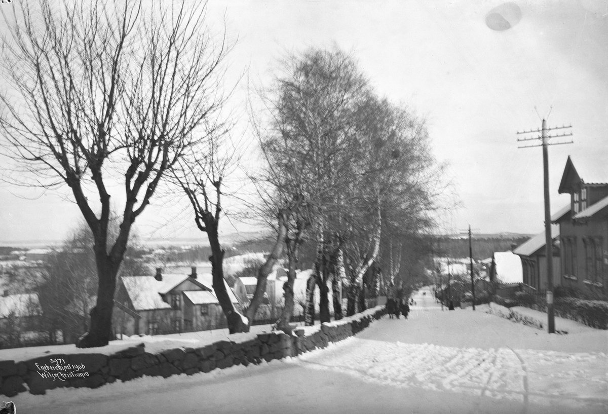 Anders Beer Wilse, Prot: Horten Ollebakken 1/3 1906