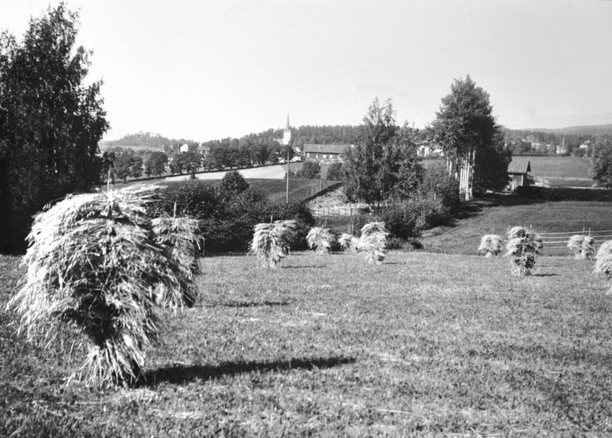 Anno Domkirkeodden, Utsikt mot gården Ringsaker lille og kirken. Kornsnes på staur i forgrunnen.