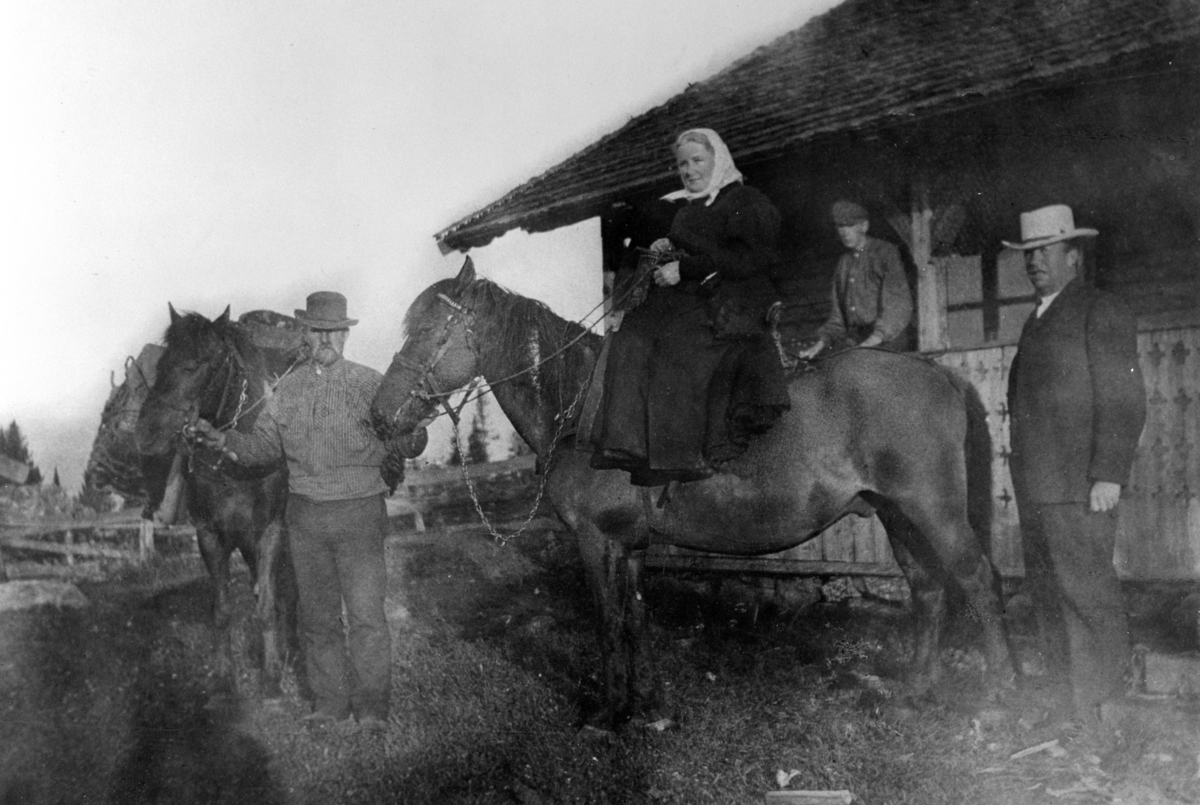 Anno Domkirkeodden, EKSTERIØR: NORDSETRA, HVERVEN SETER, ÅMOT I ØSTERDALEN, FJØS, KLØVHEST, GRUPPE: 4 FRA VENSTRE: NILS HAGEN, OLINE GJESTVANG PÅ DAMESAL, PETTER GJESTVANG JR. , PETTER GJESTVANG,