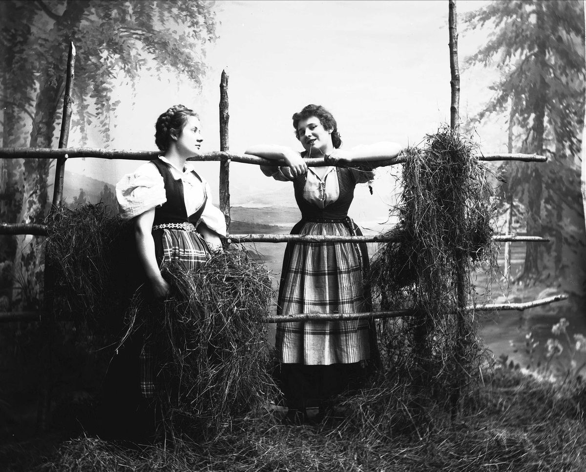 Solveig Lund, Studioportrett av to kvinner i nasjonaldrakter, som lener seg mot hesjegjerde. En står foran dette og holder høy i hånden, den andre tygger på et strå. Bakgrunnen er malt med skog, vann og hytte. På gulvet er det høy/gress.