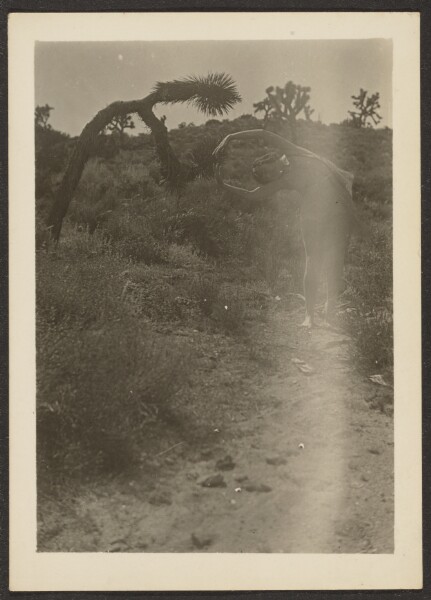Louis Fleckenstein, [Dancer and Joshua Tree]