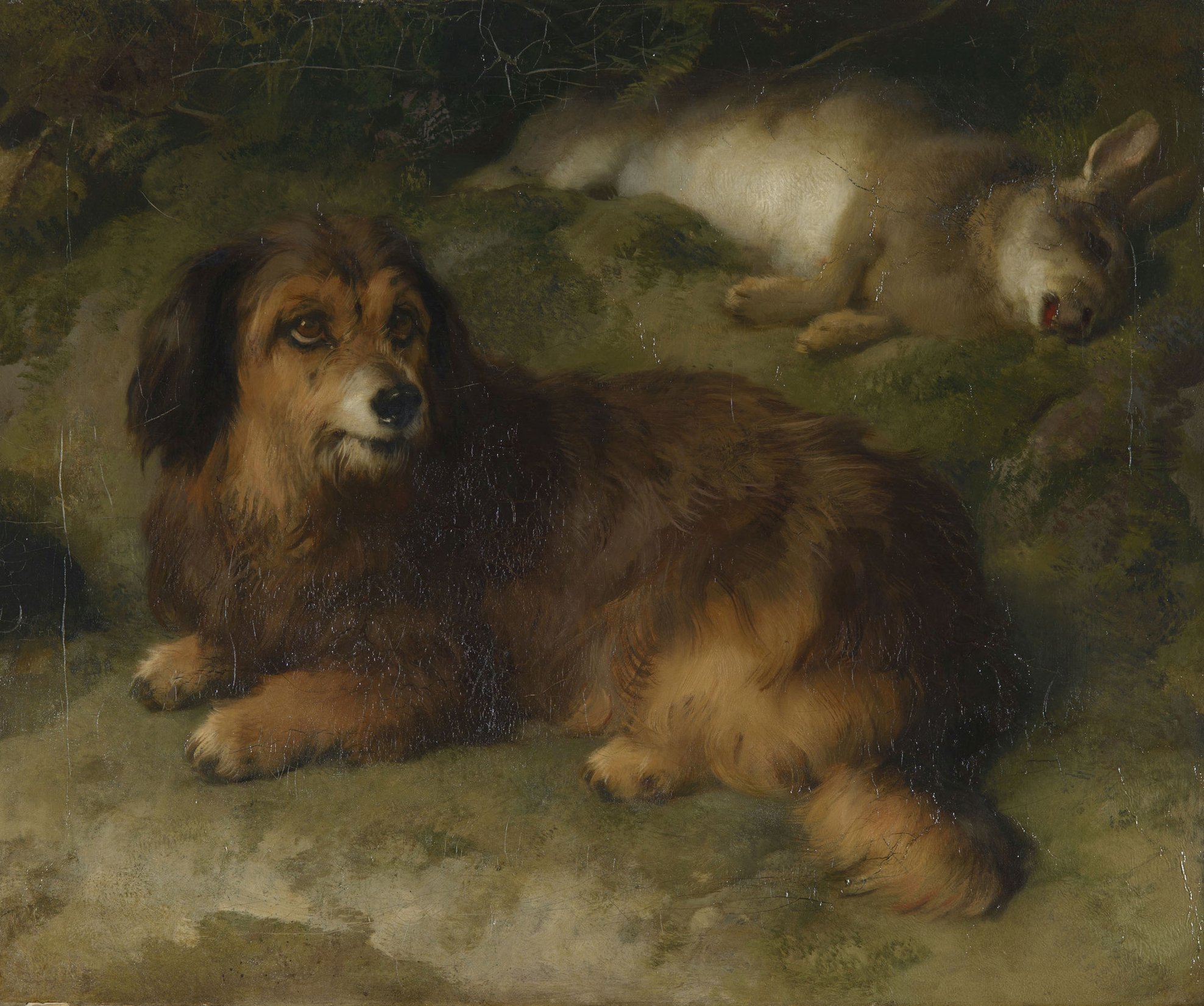 Edwin Landseer, Boz