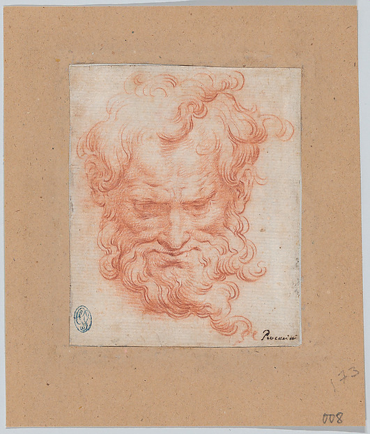 Camillo Procaccini, Study of Bearded Man