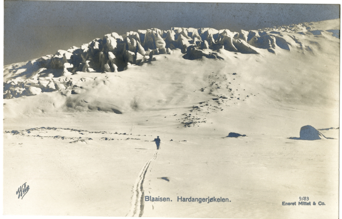 Anders Beer Wilse, Blaaisen. Hardangerjøkelen.