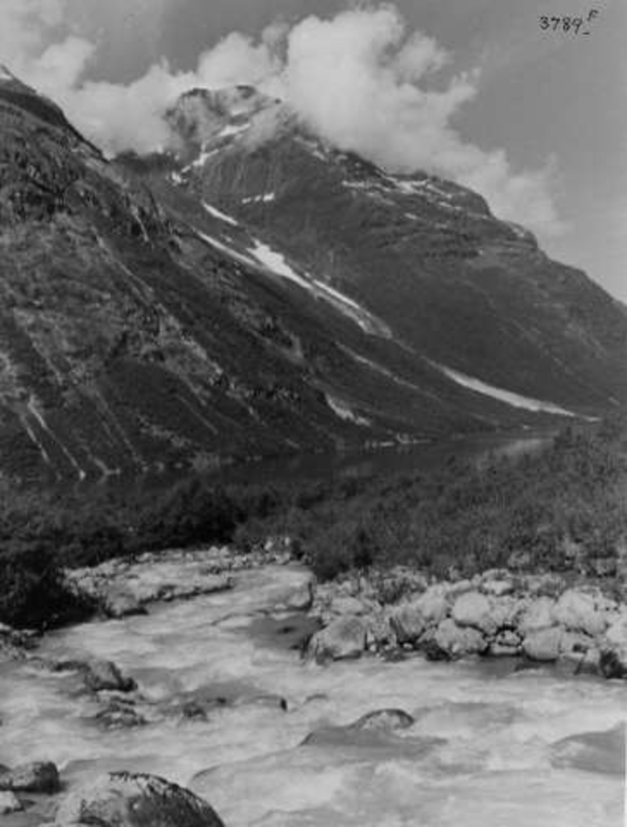 Anders Beer Wilse, -6651