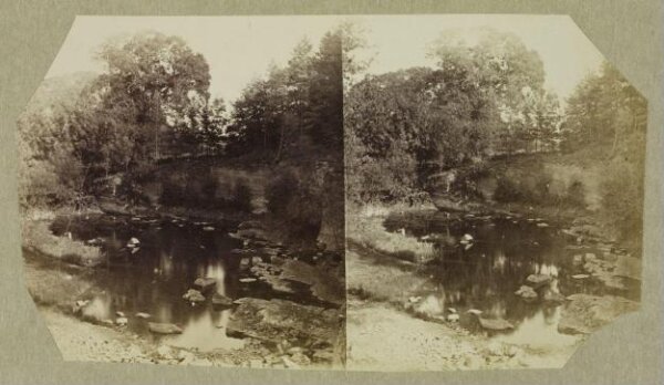 Clementina, Lady Hawarden, Photograph