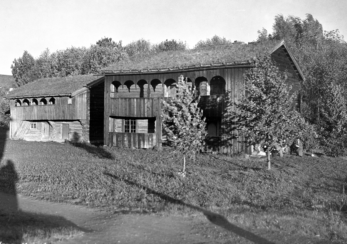 Anders Beer Wilse, "Prot: Museet Hamar