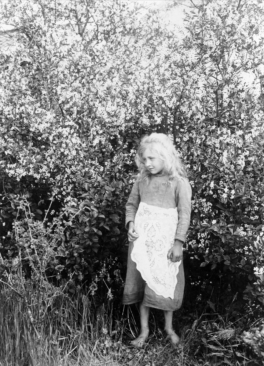 Robert Collett, Pike stående foran tre, ukjent sted. Serie tatt av Robert Collett (1842-1913), amatørfotograf og professor i zoologi.