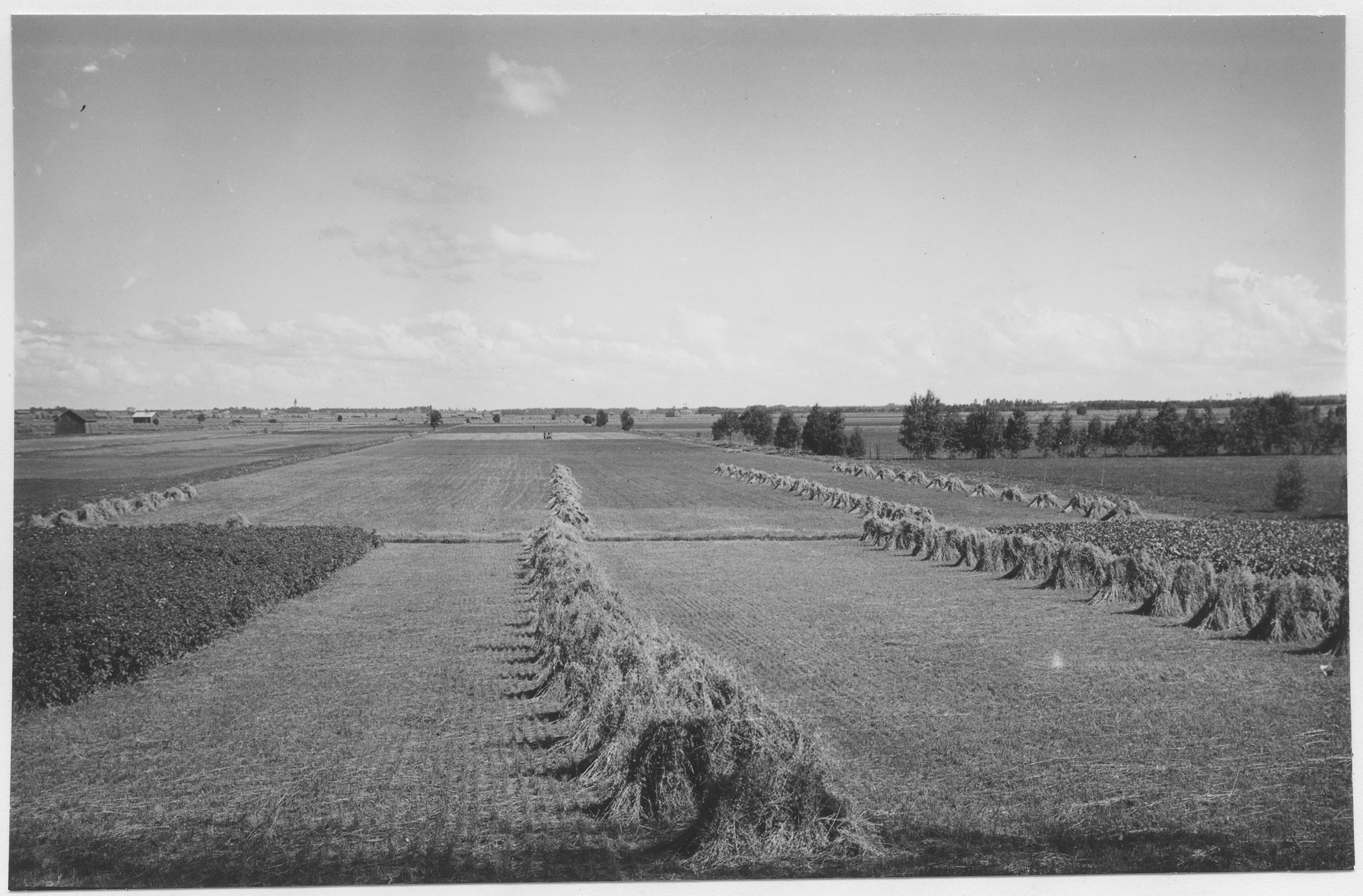 Mårten Sjöbeck, Täby socken, åkermark
