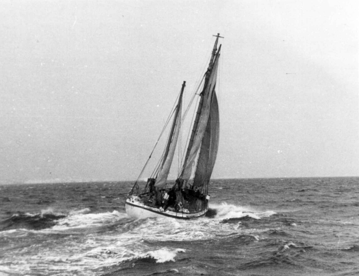 Anders Beer Wilse, Lofotfiske