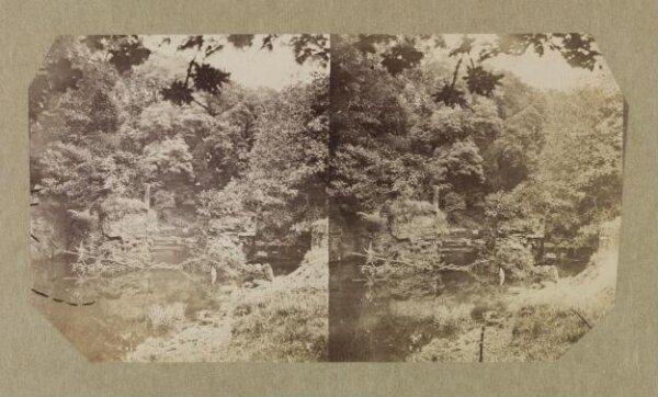 Clementina, Lady Hawarden, Photograph