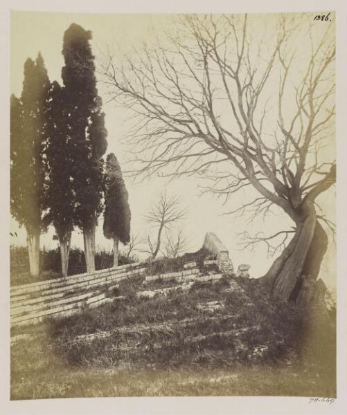 Parker, John Henry, Sixteenth Century - Steps or Seats of the Theatre of Tasso, in the garden of the Monastery of S. Onofrio