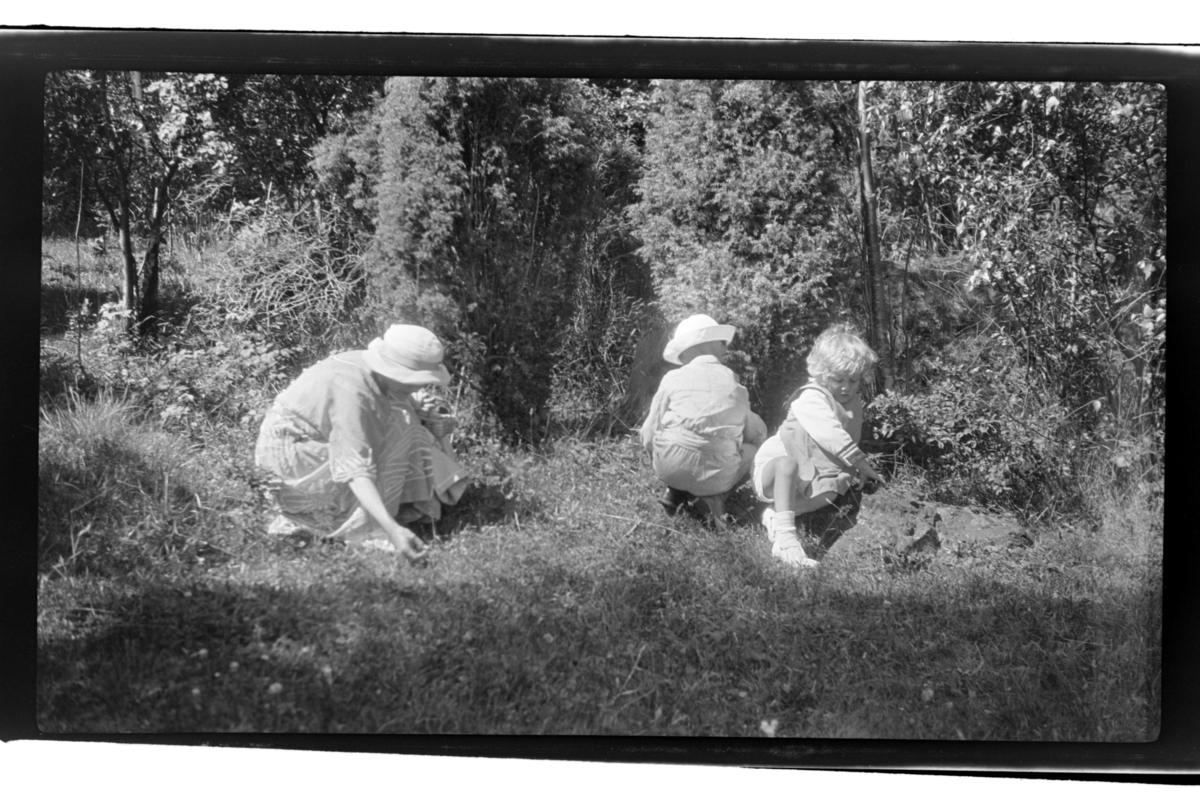 Rolf Sr. Sundt, Hilda Sundt plukker bær sammen med sønnene Julius og Rolf Jr. Fotografert 1925.