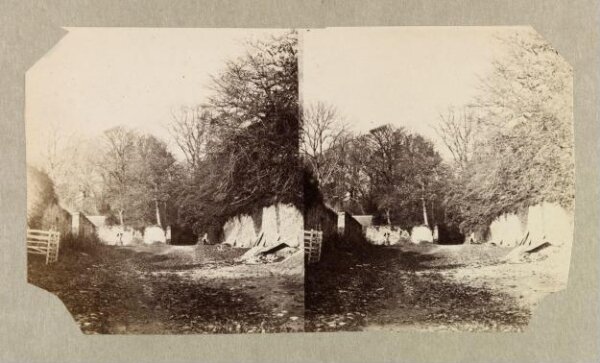Clementina, Lady Hawarden, Photograph