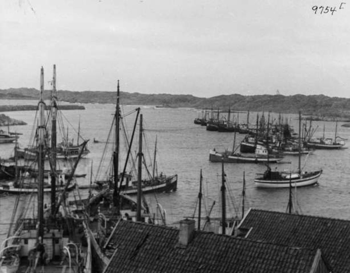 Anders Beer Wilse, -6808