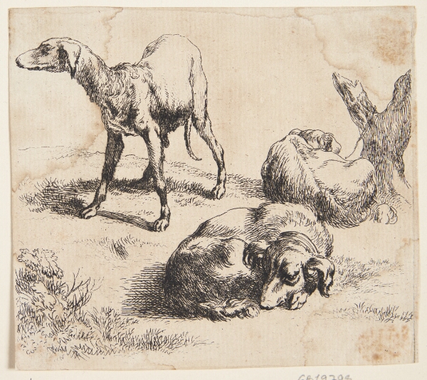 Nicolaes Berchem, Tre jagthunde