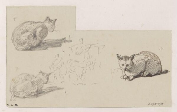 George Chinnery, Three drawings of a cat