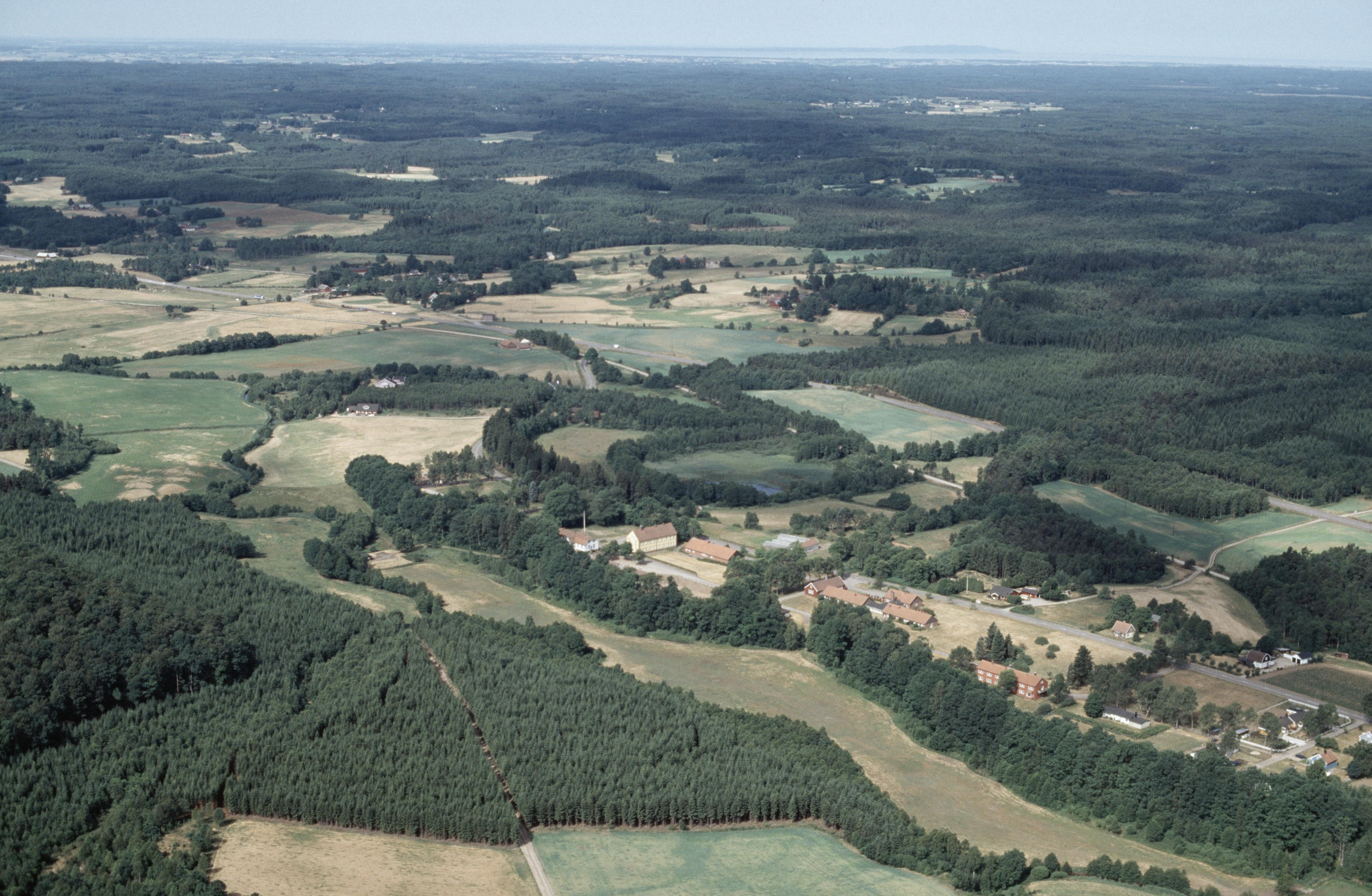 Jan Norrman, Ljungaskog