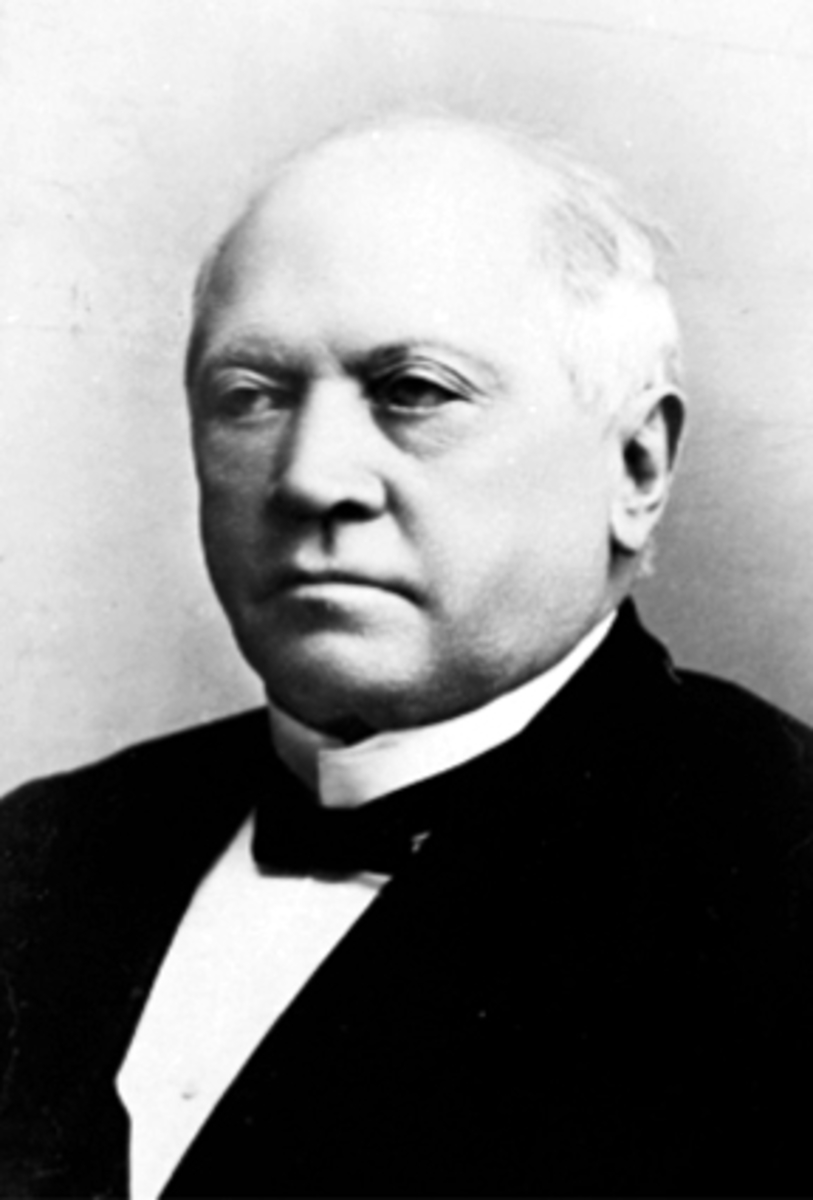 Anno Domkirkeodden, PORTRETT BRYGGERIEIER GUNERIUS FLAKSTAD, 1836 - 1921. FORMANN I HAMAR HANDELSSTANDS FORENING 1879-80, 1886. Oplandske Kreditbank: i direksjonen 1891-1920.