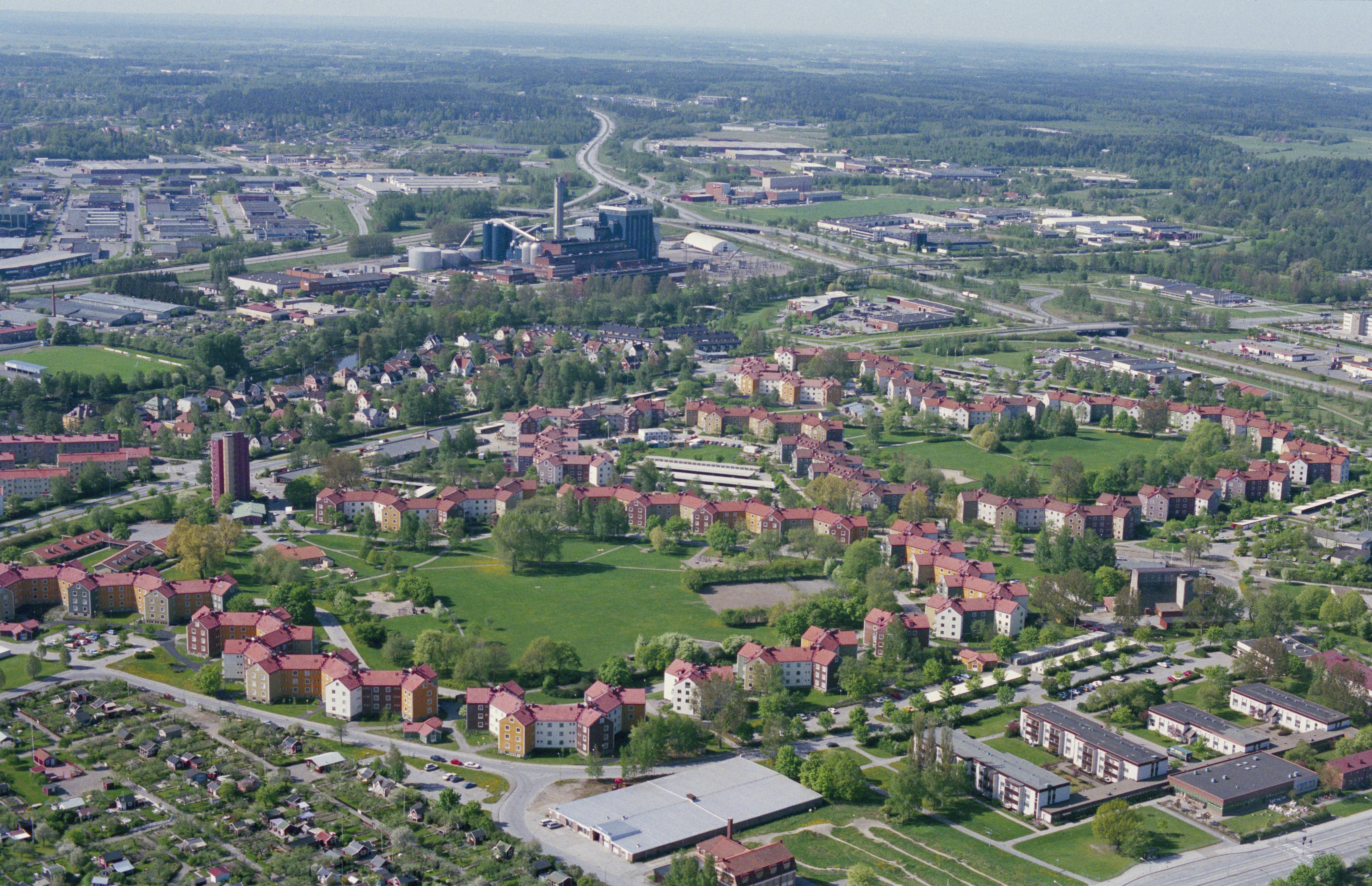 Jan Norrman, Rosta