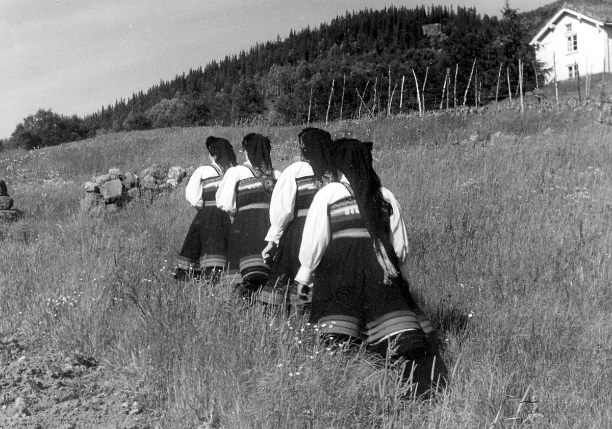 Anders Beer Wilse, Prot: Setesdalsjenter skysskar