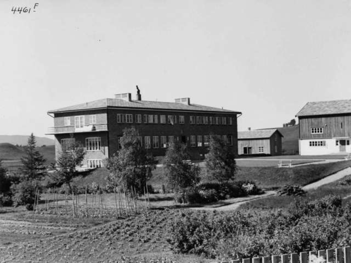 Anders Beer Wilse, Trondheims Forbedringshjem for piker 1936, Trondheim