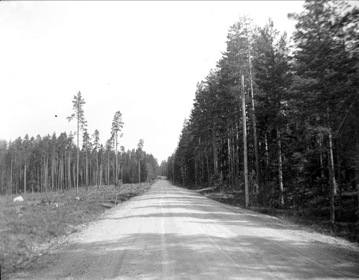 August Fredrik Schagerström, Road in Älvkarleby parish, Uppland May 1929