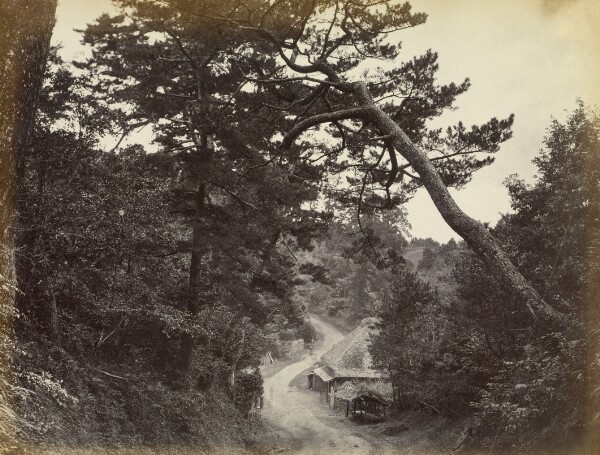 Felice Beato, View on the Tokaido Road