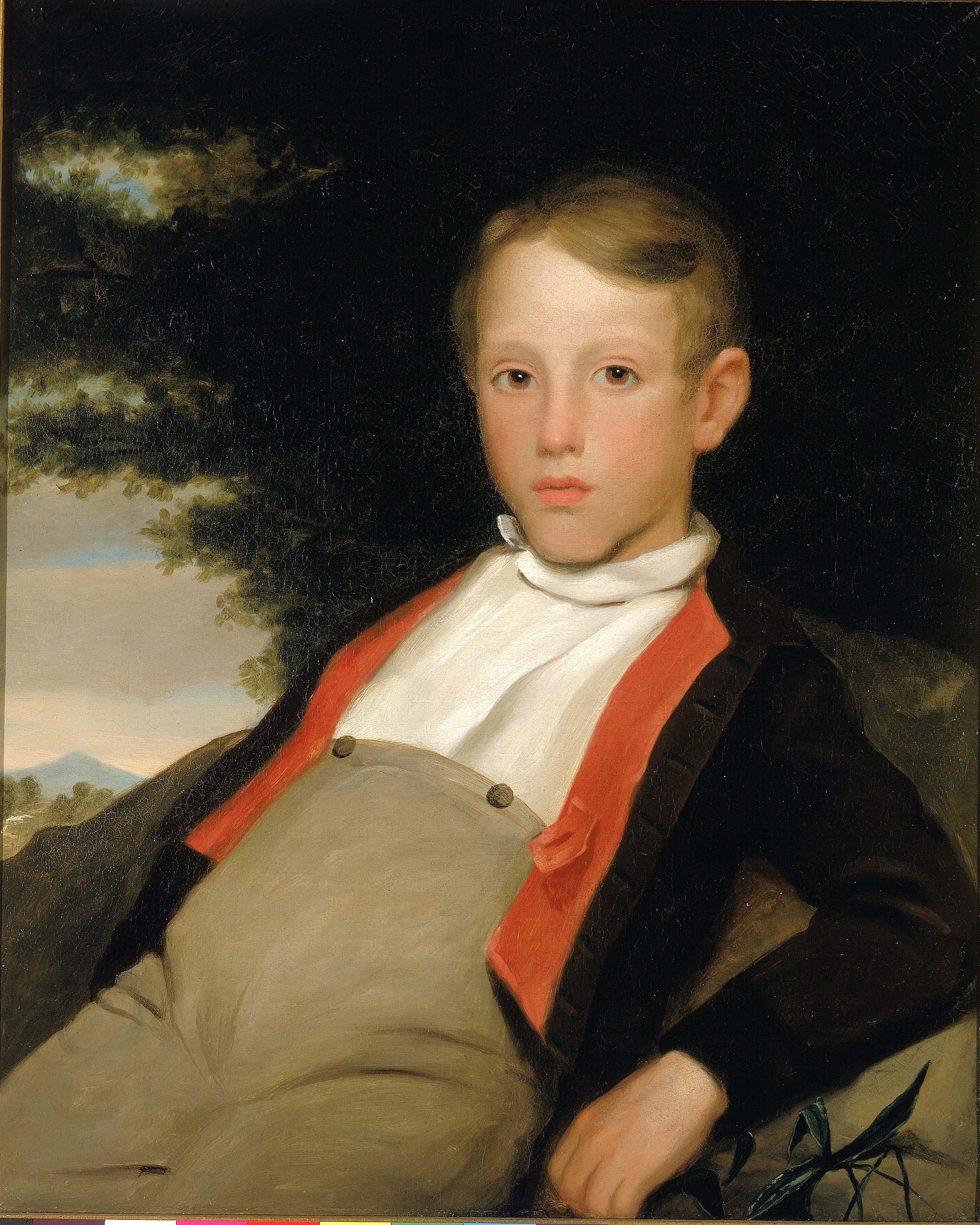 Unidentified, Boy in a Landscape