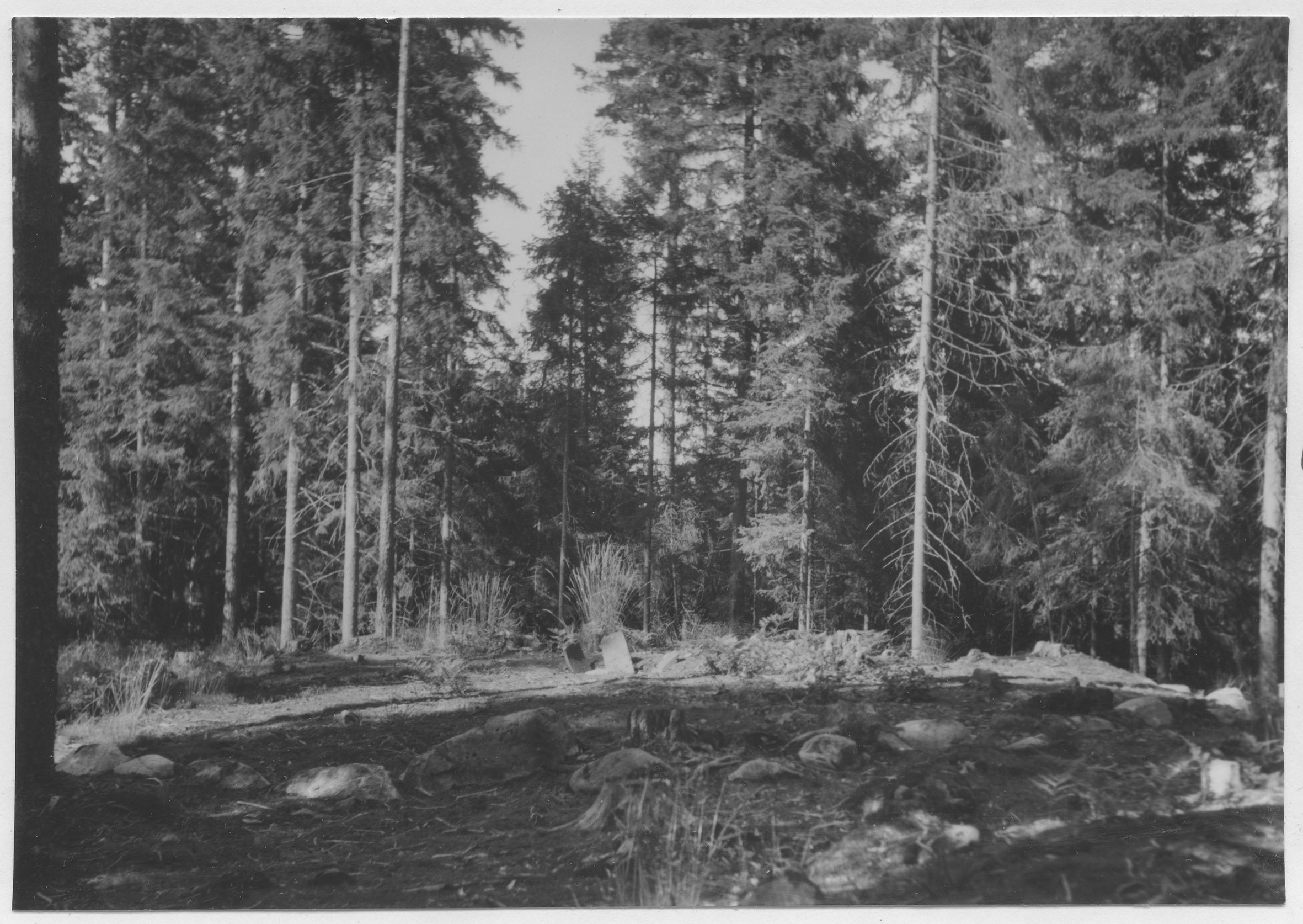 Mårten Sjöbeck, Dals-Eds socken, järnåldersgravfält