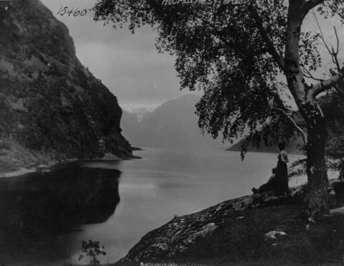 Anders Beer Wilse, -6126