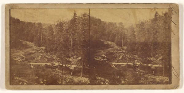 Unknown, [Forest vista] (recto); [Unidentified city view with vineyard in foreground] (verso)