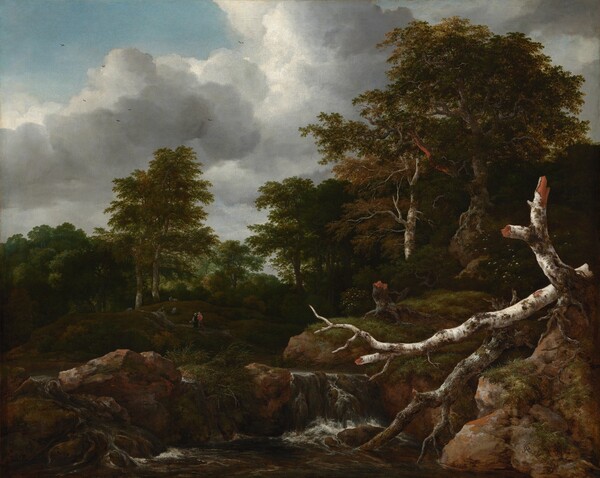 Jacob van Ruisdael, Forest Scene
