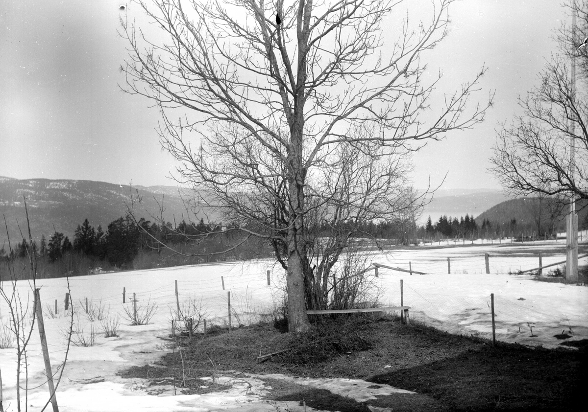 Juliane Fredrikke Langberg, Landskap i Hurum, i forgrunnen områder inngjerdet, med flaggstang t.h. I bakgrunnen utsyn over skog, heier og fjord. Fotografens svoger var sokneprest i Hurum 1897-1904. Fra malerinne Juliane Fredrikke Langbergs (1856-1930) samling, tatt ca.1895-1910 med motivkrets slekt og venner samt steder tilkn…