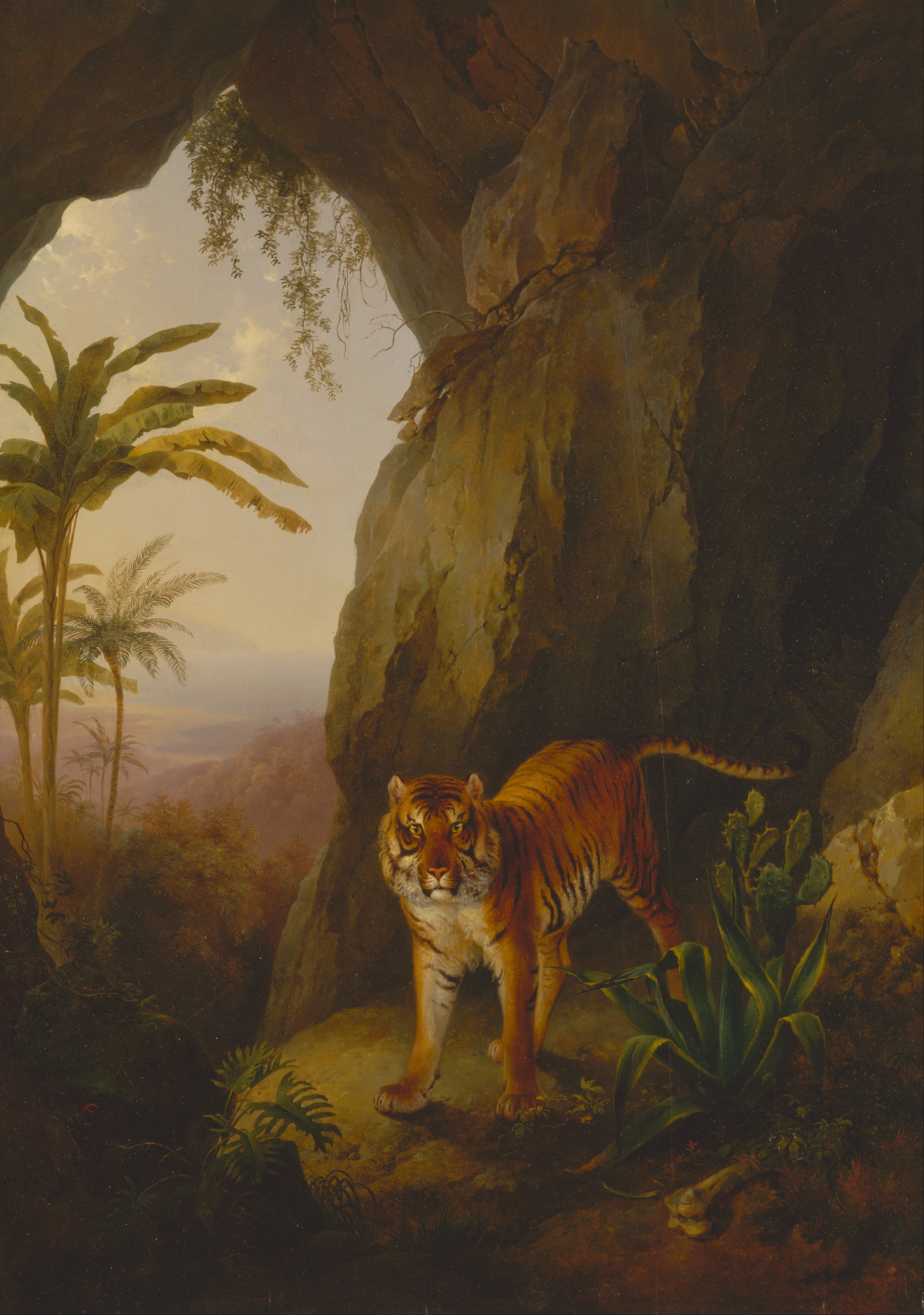 Jacques-Laurent Agasse, Tiger in a Cave