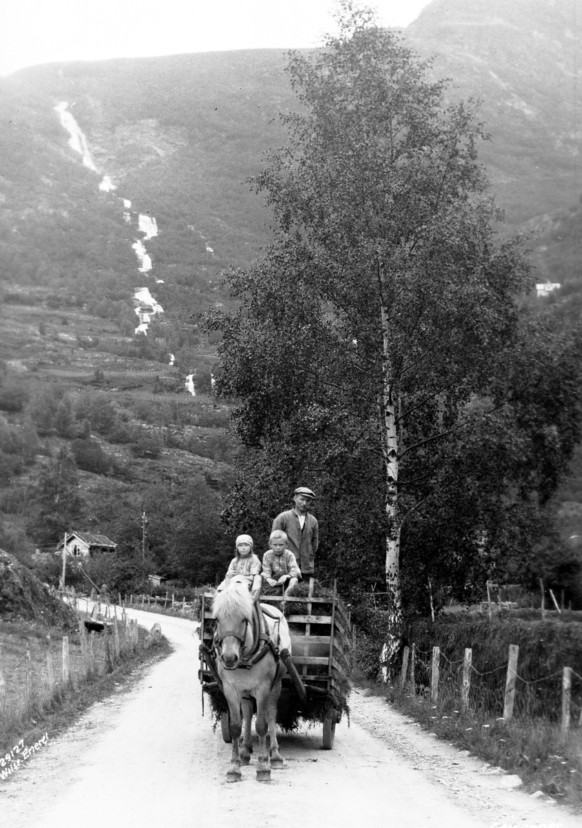 Anders Beer Wilse, Prot: Indkjørning av høi, Geiranger