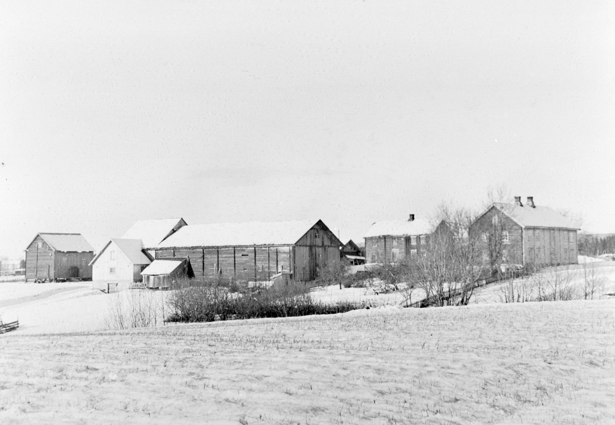 Anno Domkirkeodden, EKSTR: GARDSBRUK TORSHOV, LØTEN, VINTER
