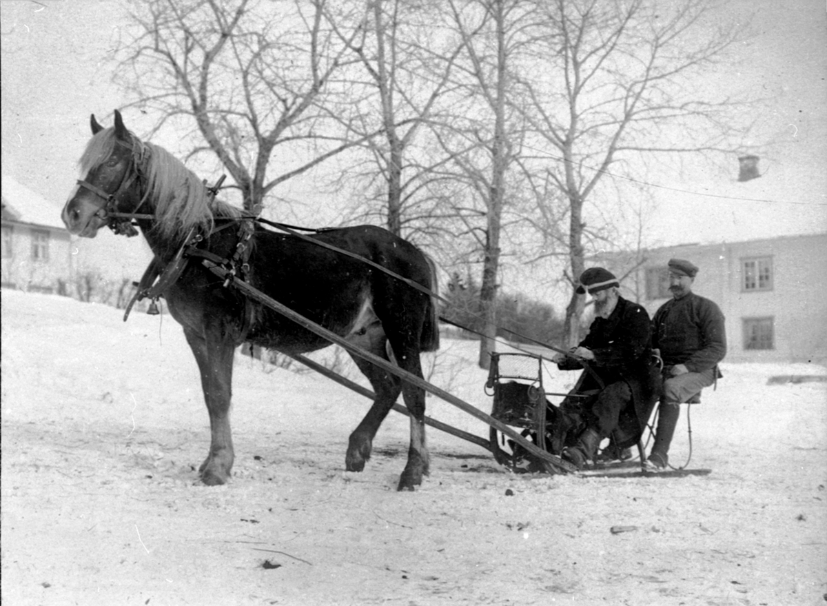 Anno Domkirkeodden, Hest med spisslede på Heramb, Herram, Ringsaker. Føderådsmann Andreas Heramb.