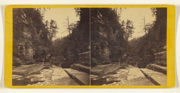 Edward and Henry T. Anthony & Co., Scenery of Ithaca and Vicinity, N.Y. The Gateway of Rocks - Entrance to Enfield Ravine.