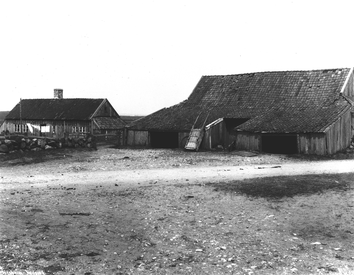 Anders Beer Wilse, prot: Næsheim Ã†ldste Hus