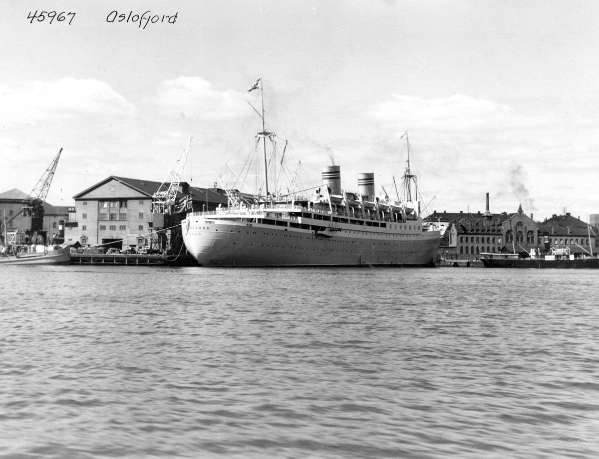 Anders Beer Wilse, Turistskip