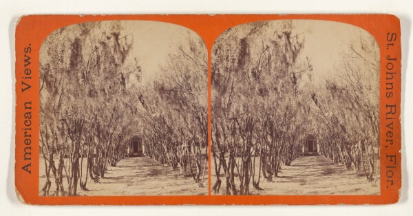 Edward and Henry T. Anthony & Co., Myrtle Avenue, Hibernia. [on the St. Johns River, Florida]
